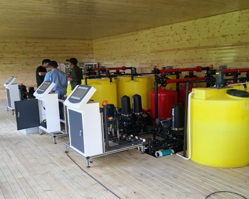 信阳新县茶园香蕉爱视频项目已完工