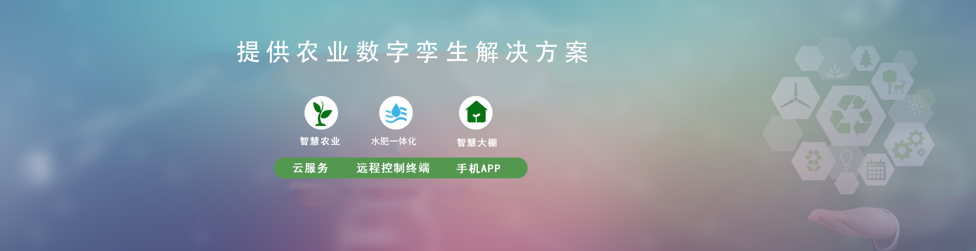 节水香蕉爱视频