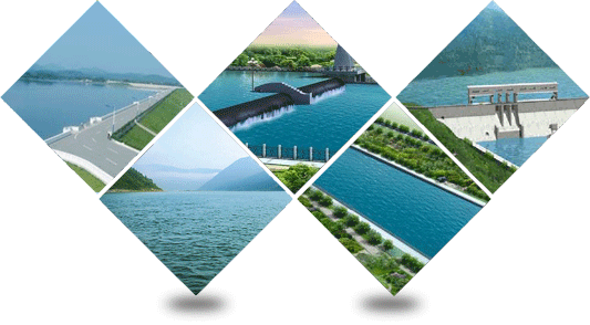  节水香蕉爱视频