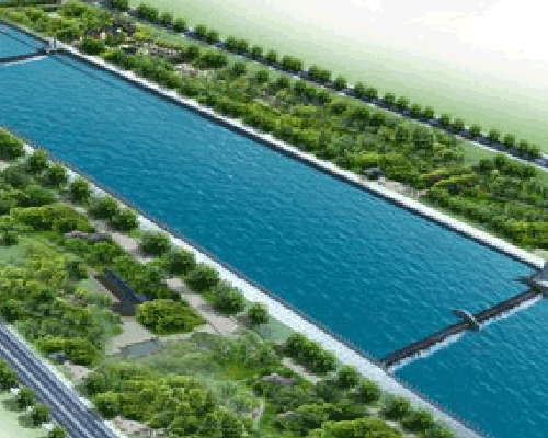 节水香蕉爱视频