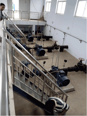 农业香蕉爱视频