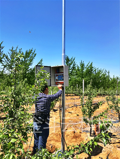 香蕉爱视频系统