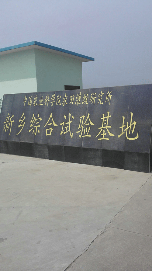 农业香蕉爱视频