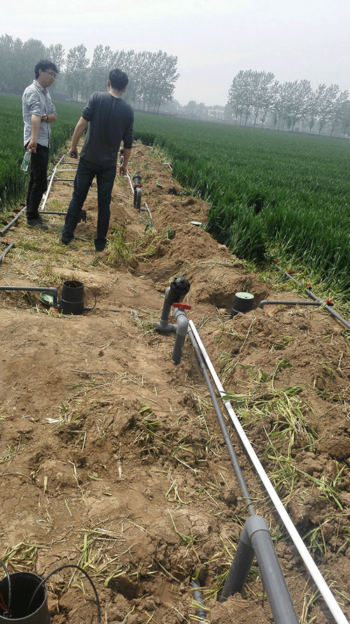 农业香蕉爱视频