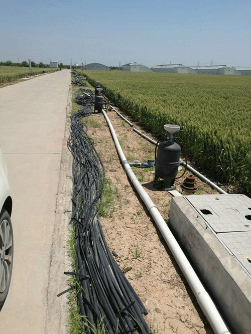 农业香蕉爱视频