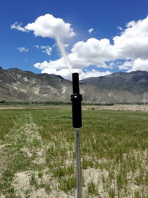 香蕉爱视频系统