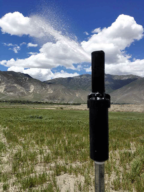 香蕉爱视频系统