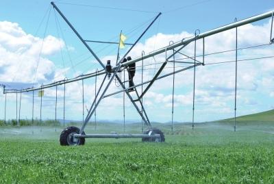 香蕉爱视频系统