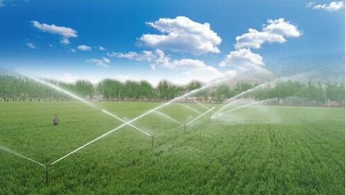 节水香蕉爱视频