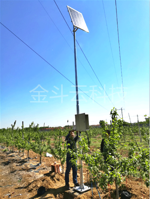 香蕉爱视频系统