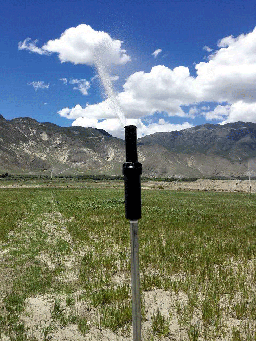 香蕉爱视频系统