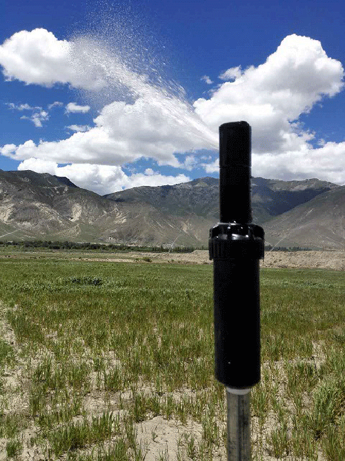 香蕉爱视频系统