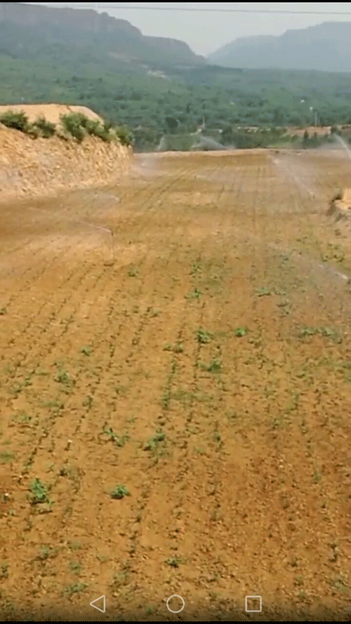 节水香蕉爱视频