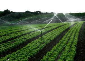 节水香蕉爱视频 节水香蕉爱视频