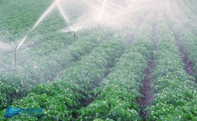 香蕉爱视频系统