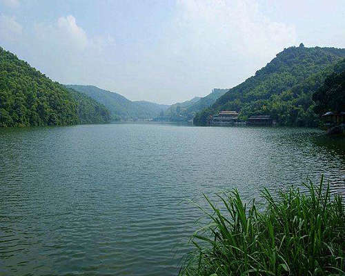 农业香蕉爱视频厂家