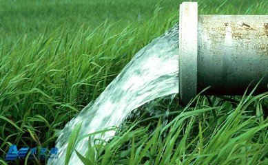 农业香蕉爱视频厂家