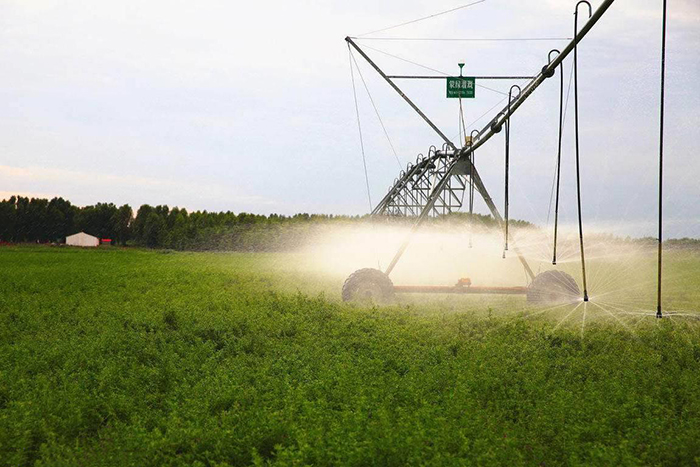 节水香蕉爱视频
