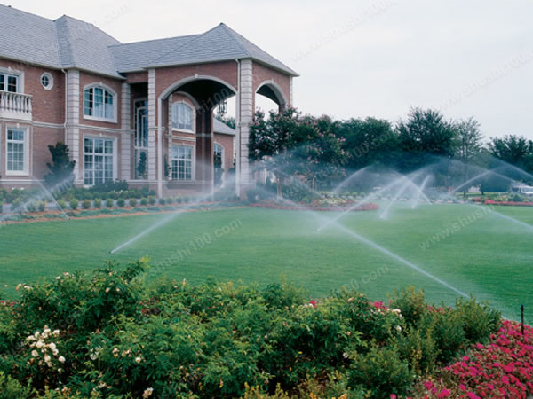 香蕉爱视频系统