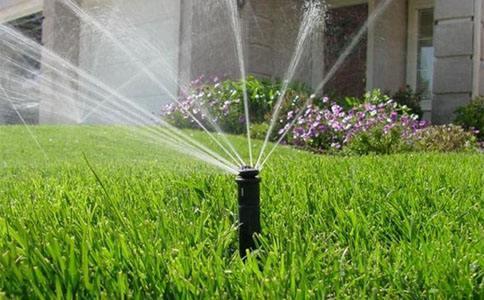 节水香蕉爱视频