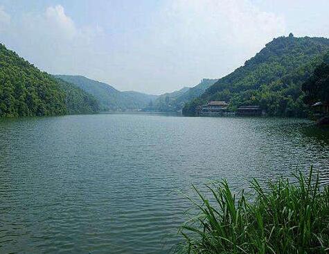 农业香蕉爱视频