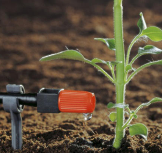 农业香蕉爱视频