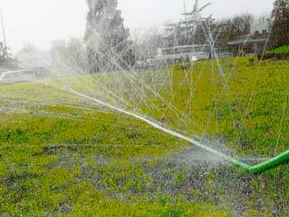 农业香蕉爱视频