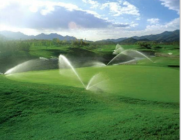 香蕉爱视频系统